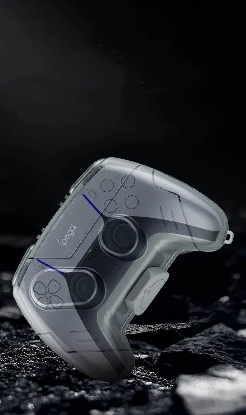 Grey transparent plastic hard storage case for game controllers.