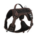 Orange dog harness with reflective trim, showing the explosion-proof chest strap and attached black hand-holding rope.
