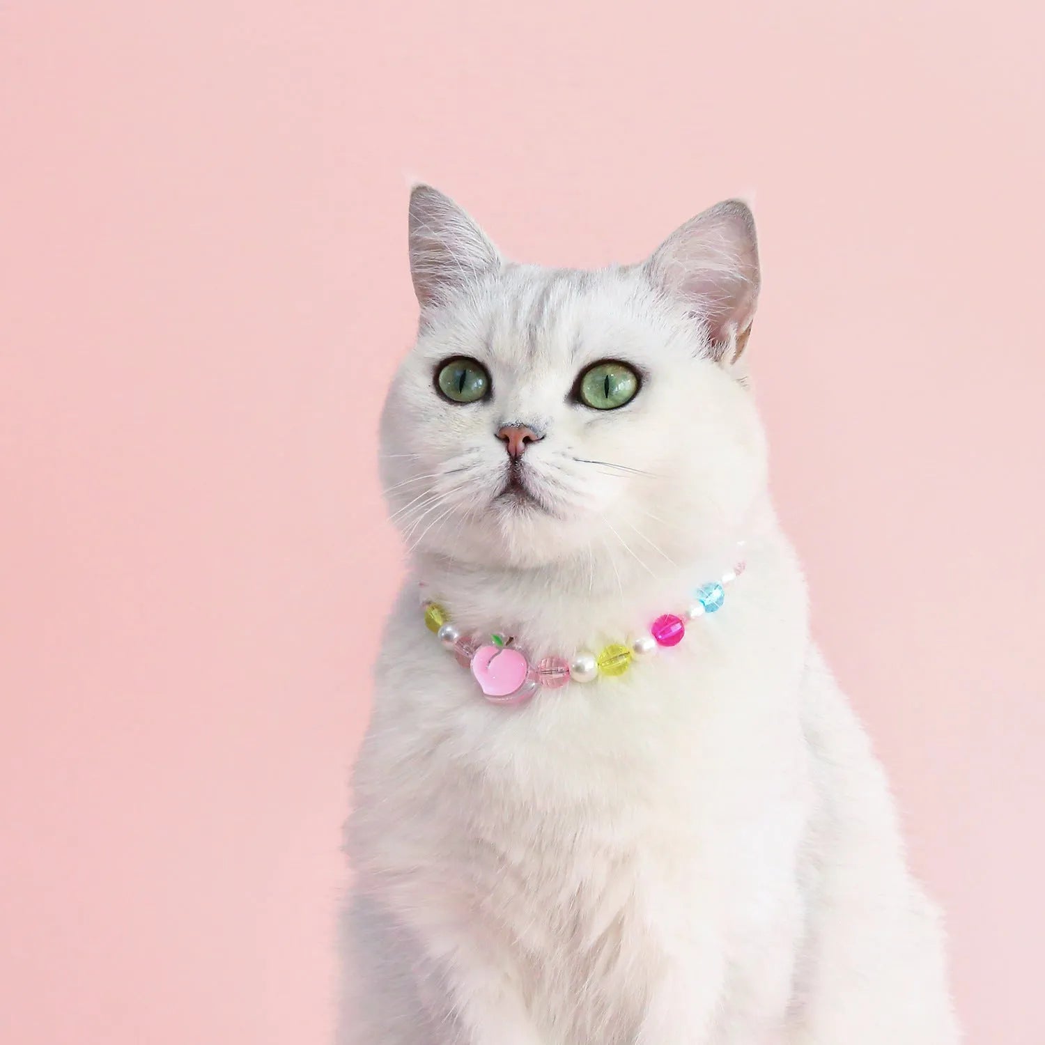 Colourful plastic bead cat necklace showing small flower, rainbow, and peach pattern options with adjustable sizing